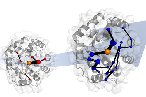 Enzyme evolution